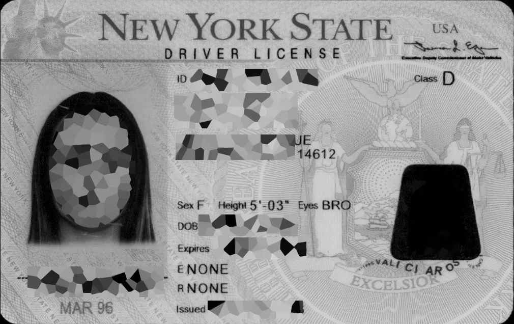 Responsible Alcohol Service with Patronscan 2 newyork_scrubbed
